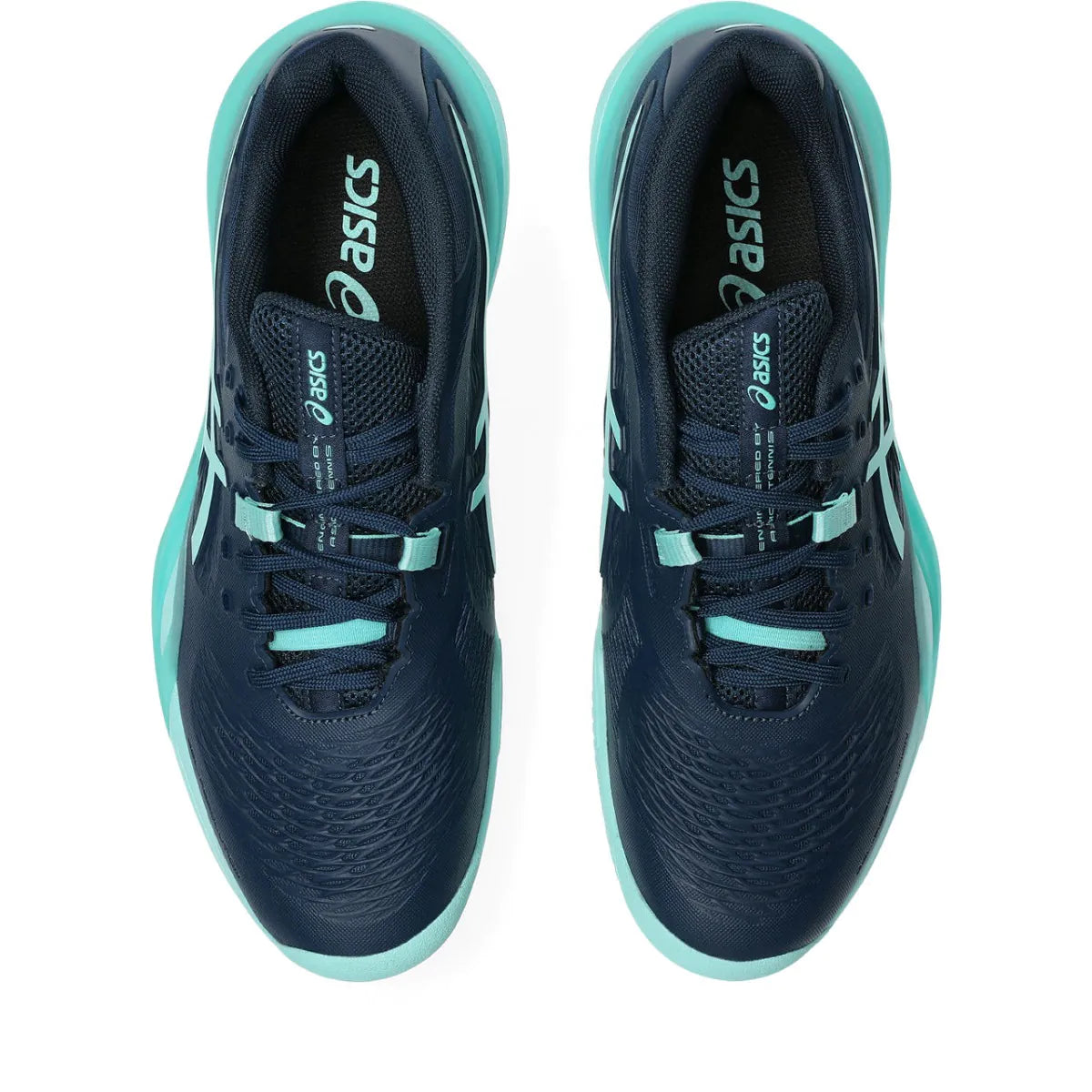 Pantofi sport bărbătești ASICS Gel-Resolution X Clay